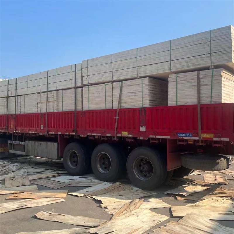 永济市探寻会东县进仓物流的多元运输奥秘